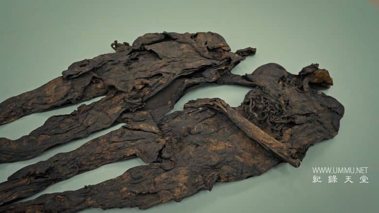 古尸揭秘：解开谜团 Ancient Bodies: Secrets Revealed