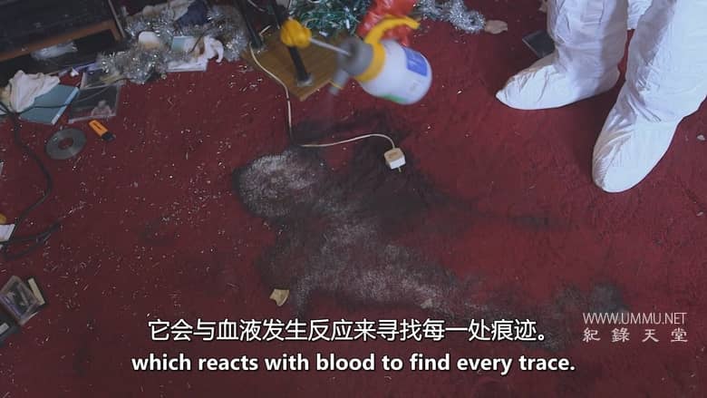 垃圾屋克星 Call the Cleaners