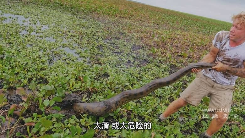 杰克蓝道冒险纪行 Fearless Adventures with Jack Randall