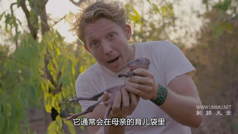 杰克蓝道冒险纪行 Fearless Adventures with Jack Randall