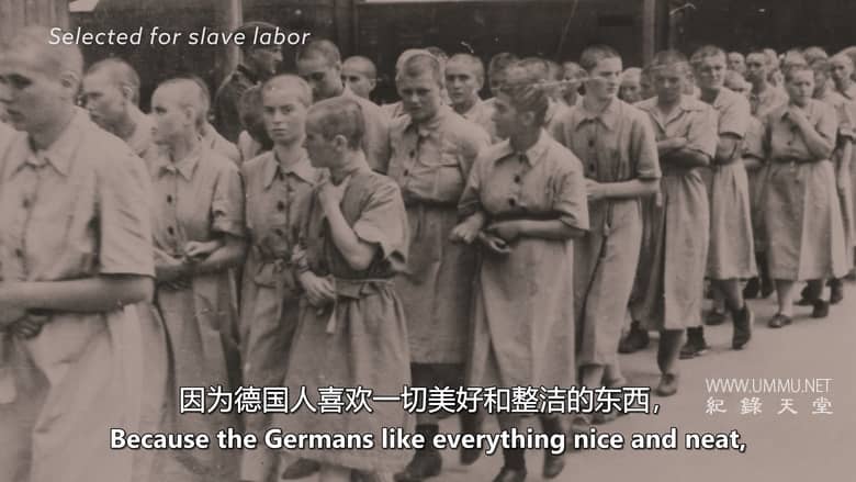 我的纳粹指挥官父亲 The Commandant’s Shadow