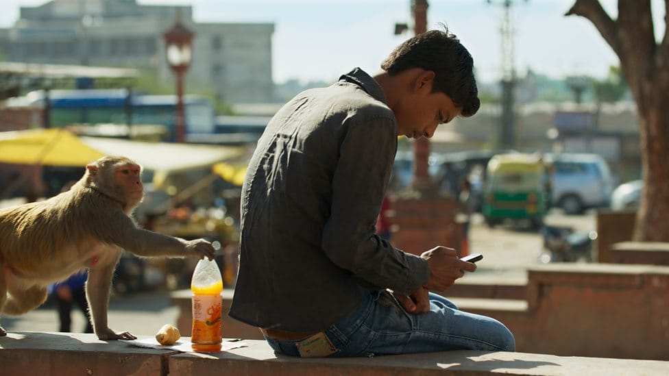 地球脉动 第二季 Planet Earth Season 2