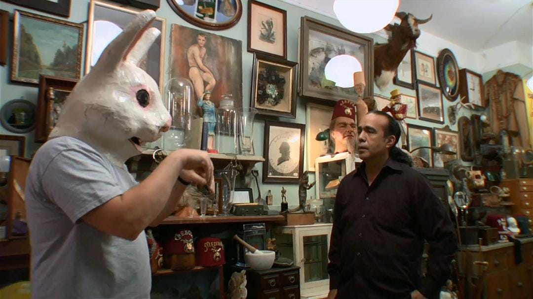 奇异世界 第一季 Discovery Channel: Oddities Season 1