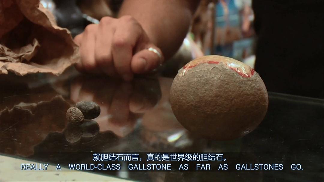 奇异世界 第一季 Discovery Channel: Oddities Season 1