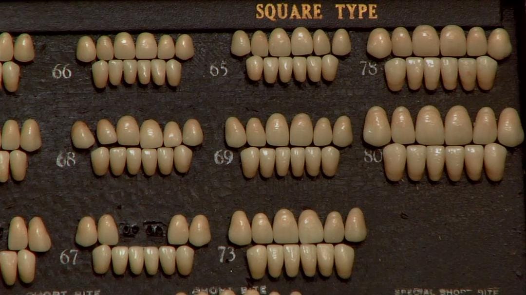 奇异世界 第一季 Discovery Channel: Oddities Season 1