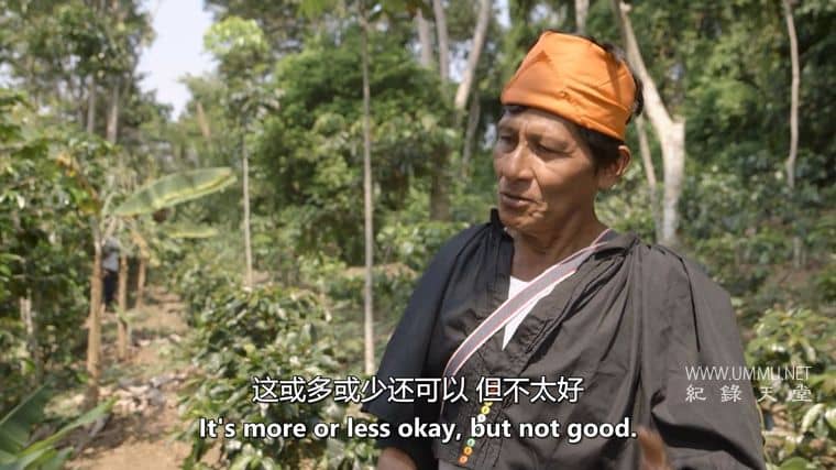 可卡因之王：联合国输掉毒品战争 King of Cocaland – UN Losing War on Drugs