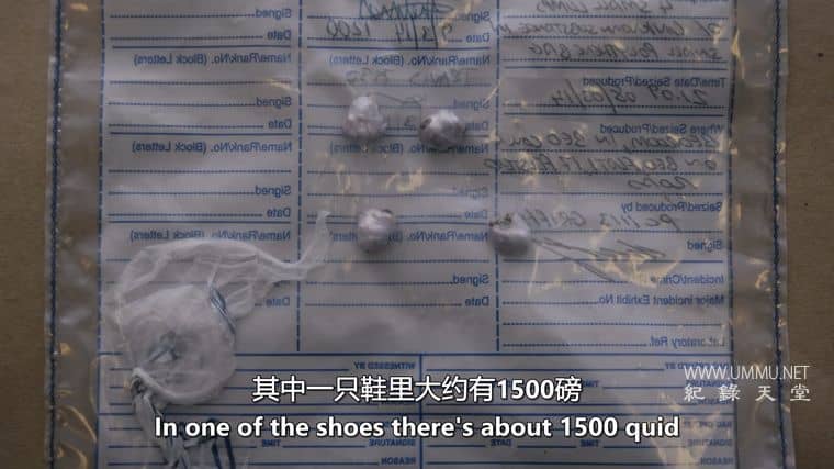 凶杀侦缉档案 The Murder Detectives