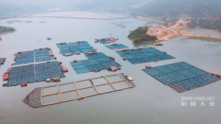 下饭魂·下饭江湖