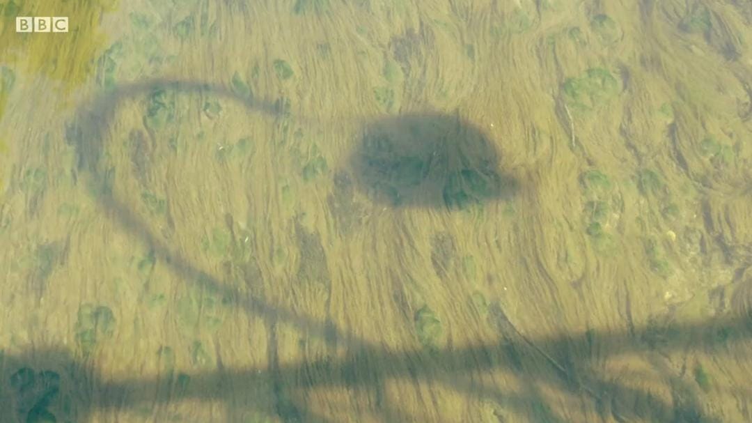 里克·斯坦的秘密法国 Rick Stein's Secret France