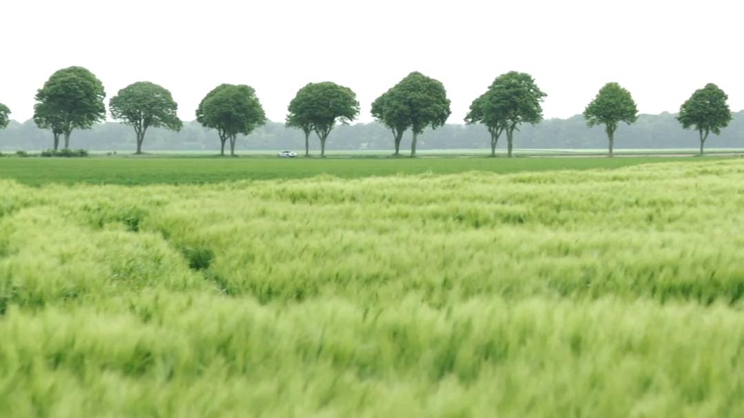 里克·斯坦的秘密法国 Rick Stein's Secret France