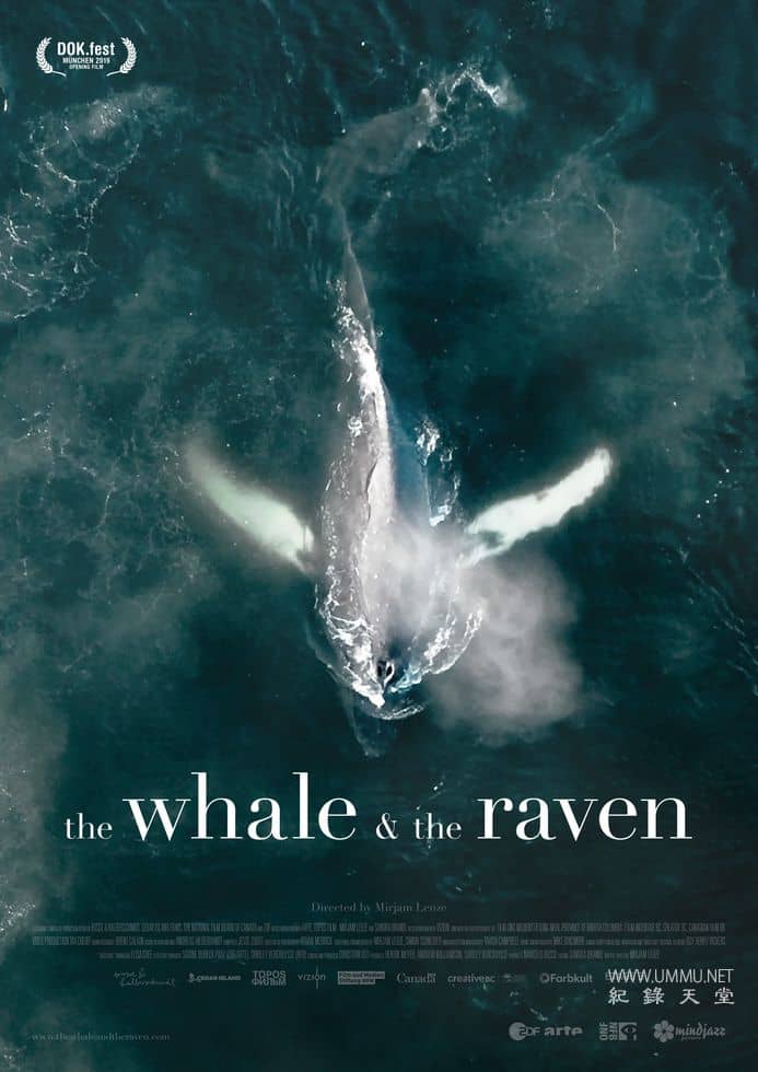 鲸鱼和乌鸦 The Whale and the Raven