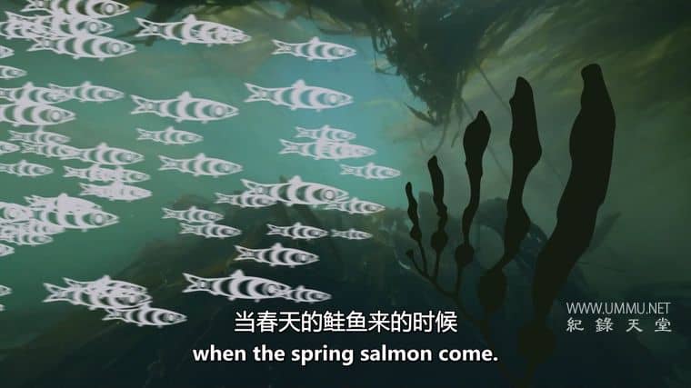 鲸鱼和乌鸦 The Whale and the Raven