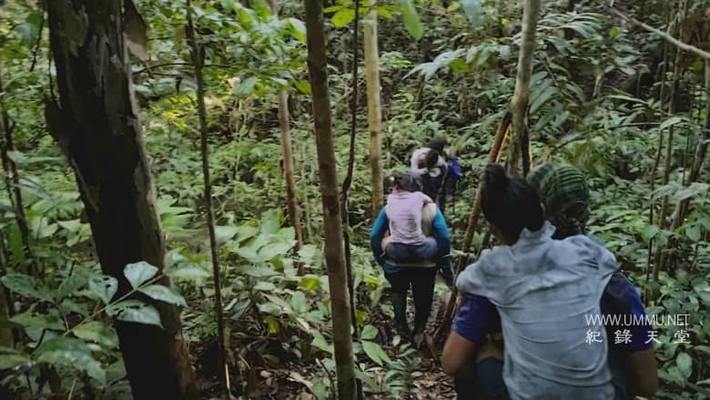 失落的孩子：亚马逊空难奇迹 2024 The Lost Children