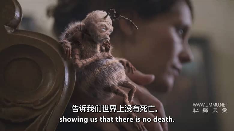 生命的意义和奥秘 The Meaning and Mystery of Life