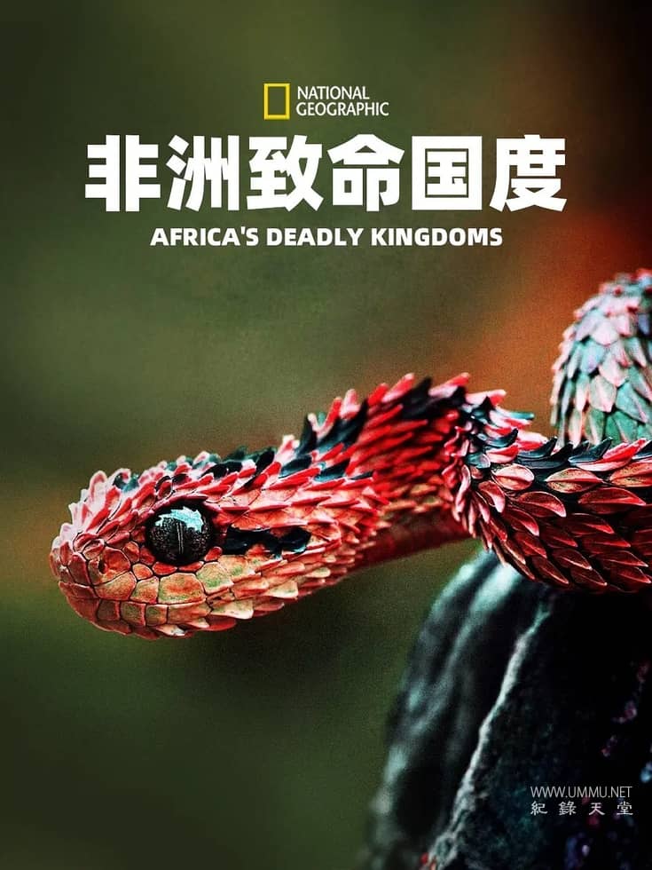 非洲致命国度 Africa's Deadly Kingdom