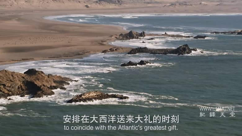 非洲致命国度 Africa's Deadly Kingdom