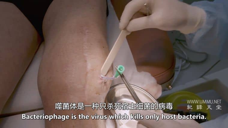 我们内心的病毒 The Virus Within Us