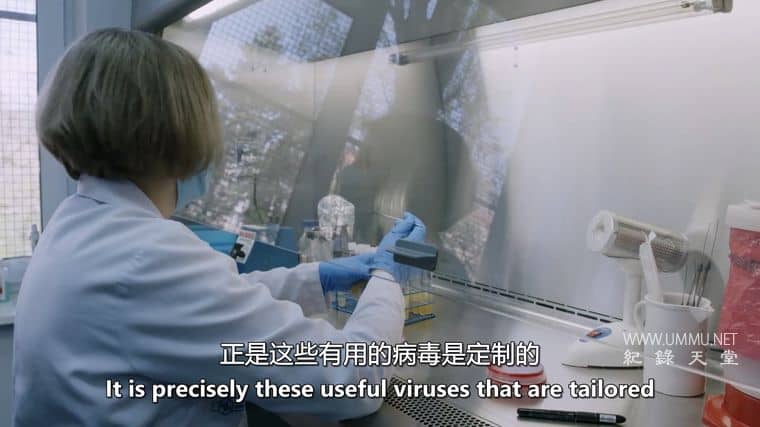我们内心的病毒 The Virus Within Us