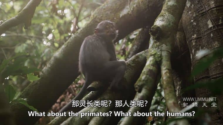 我们内心的病毒 The Virus Within Us