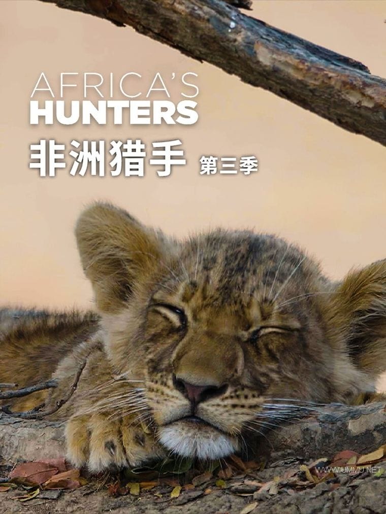 非洲猎手 第2-3季全12集   Africa's Hunters