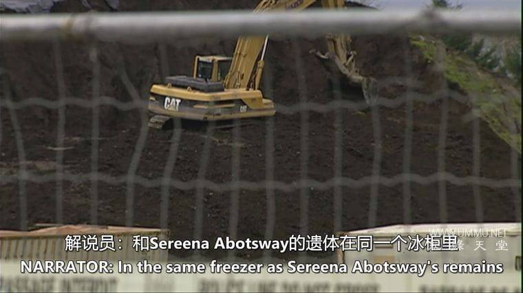 养猪场 The Pig Farm