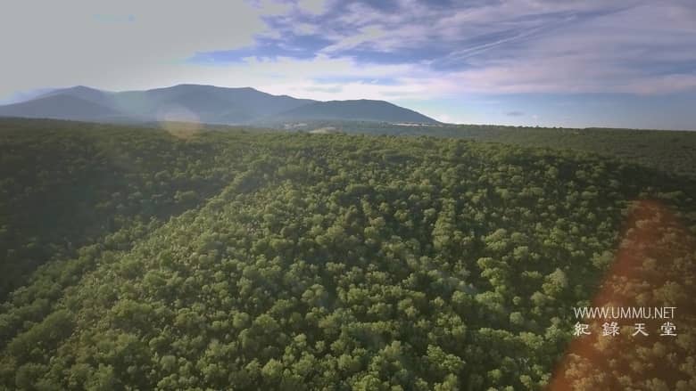 西班牙的神奇森林 The Magic Forest of Spain