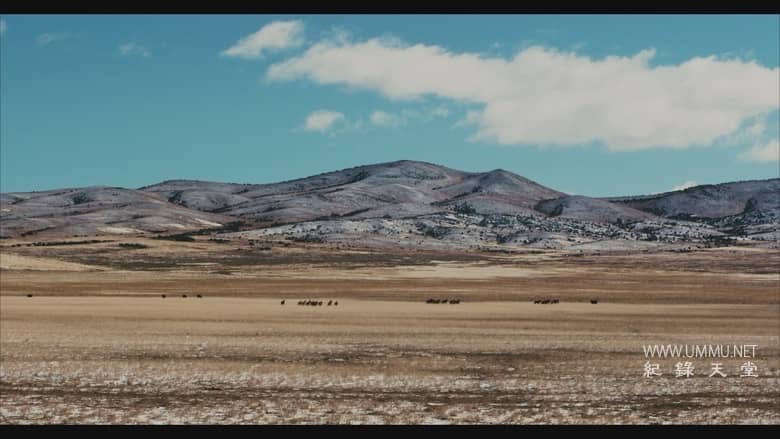 大盆地 The Great Basin