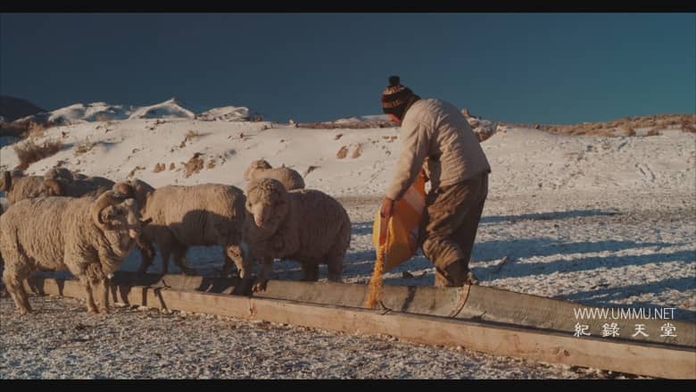 大盆地 The Great Basin