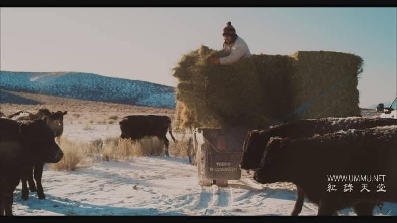 大盆地 The Great Basin