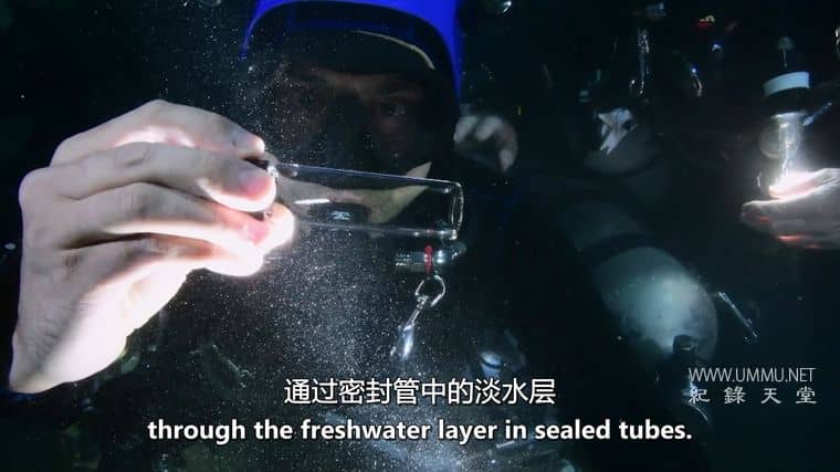 水的本质 The Essence of Water