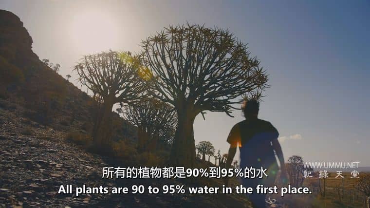 H2O：造就我们的分子 H2O: The Molecule That Made Us