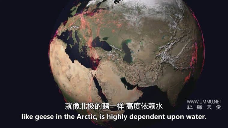 H2O：造就我们的分子 H2O: The Molecule That Made Us