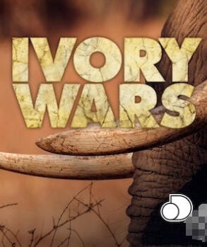 象牙战争 Ivory Wars 2013