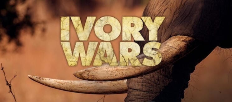 象牙战争 Ivory Wars 2013