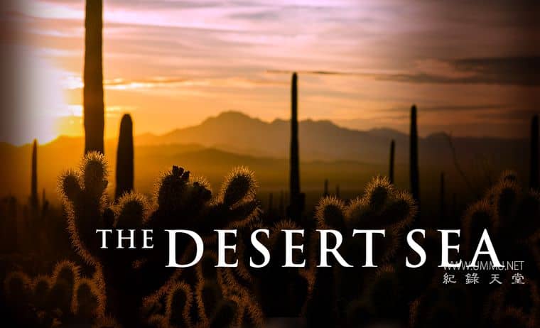 沙漠之海 The Desert Sea