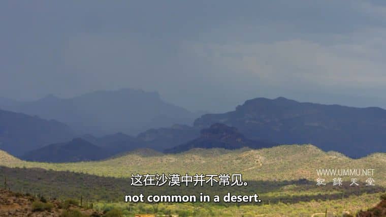 沙漠之海 The Desert Sea