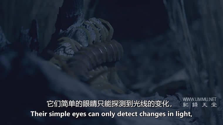 沙漠之海 The Desert Sea