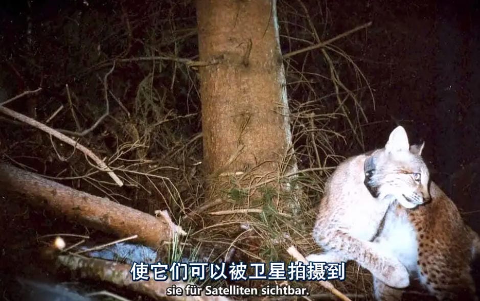 俯瞰德国 第二季 Deutschland von Oben Season 2