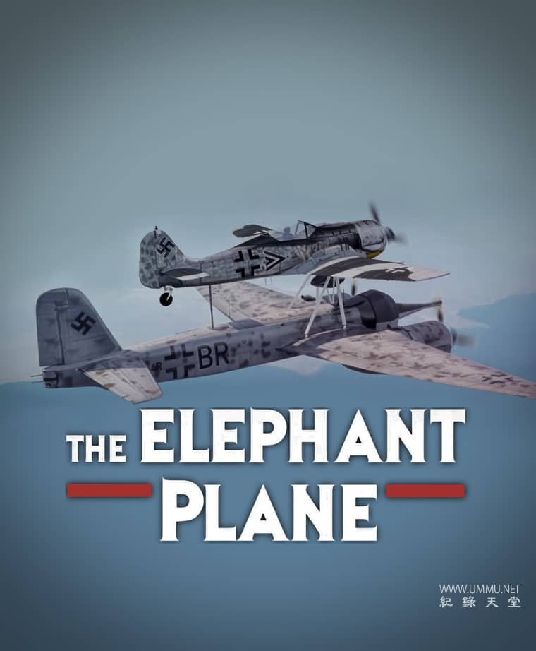 大象飞机 The Elephant Plane