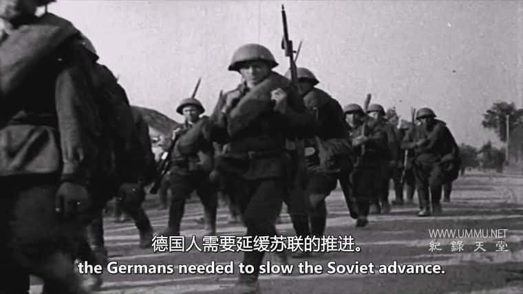 大象飞机 The Elephant Plane