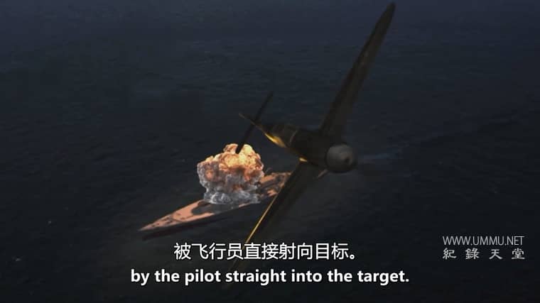 大象飞机 The Elephant Plane