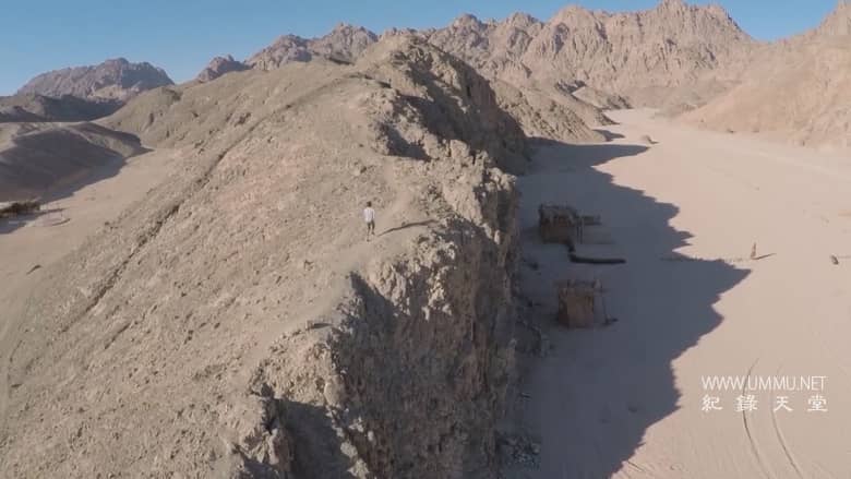 绿色浪潮 The Green Wave