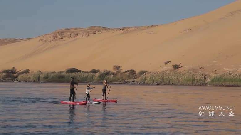 绿色浪潮 The Green Wave