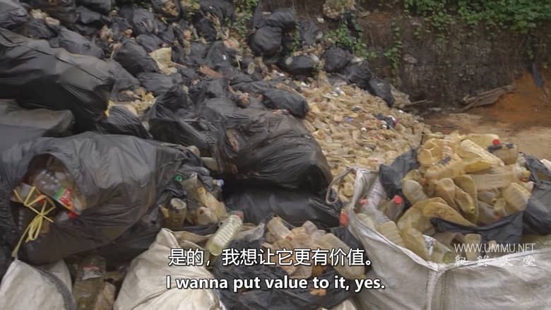 绿色浪潮 The Green Wave