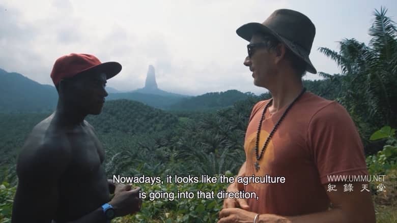 绿色浪潮 The Green Wave