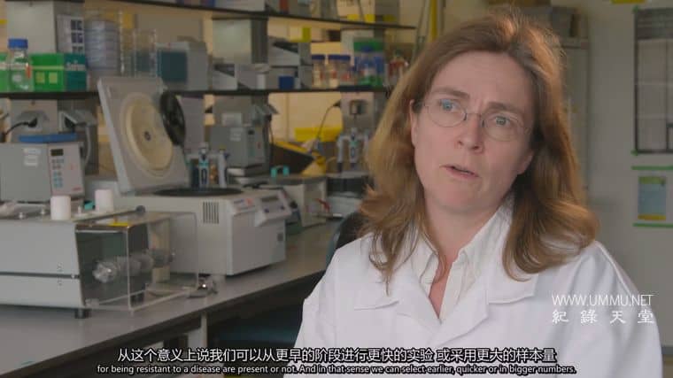 粮食竞争 The Food Race