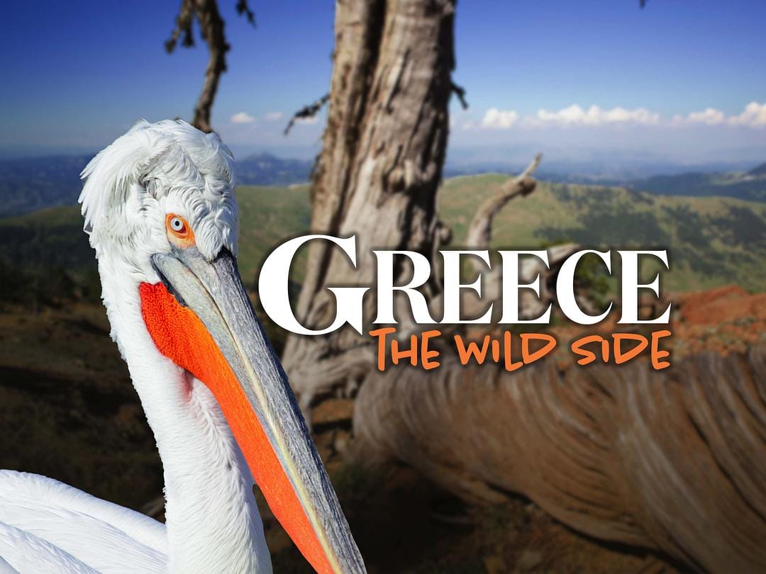 希腊的野性之美 Greece – The Wild Side