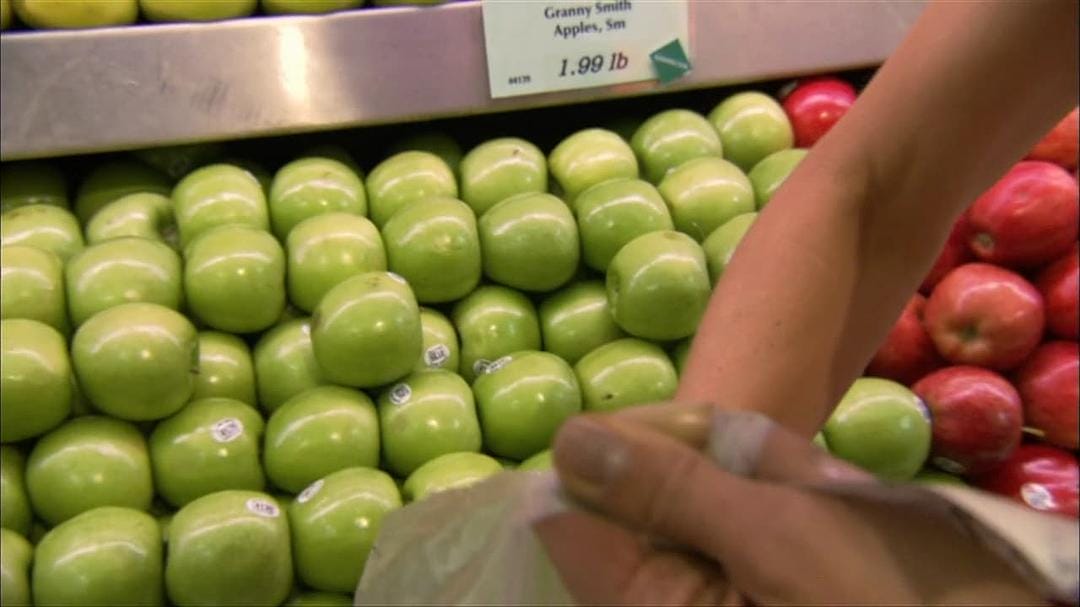 植物的欲望 The Botany of Desire