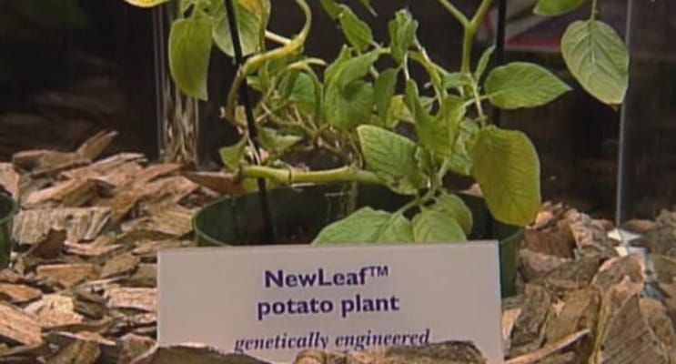 植物的欲望 The Botany of Desire