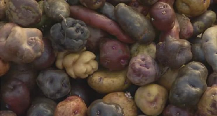 植物的欲望 The Botany of Desire